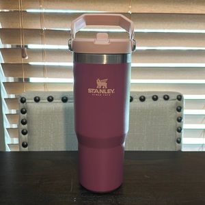 Stanley IceFlow Stainless Steel Tumbler with Straw